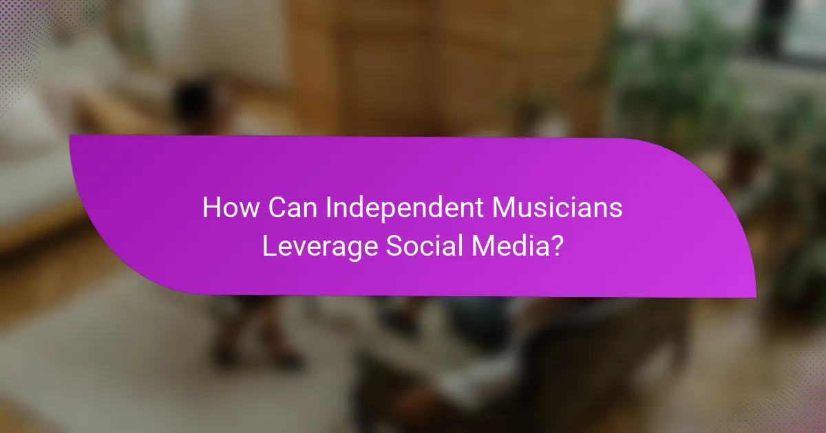 How Can Independent Musicians Leverage Social Media?
