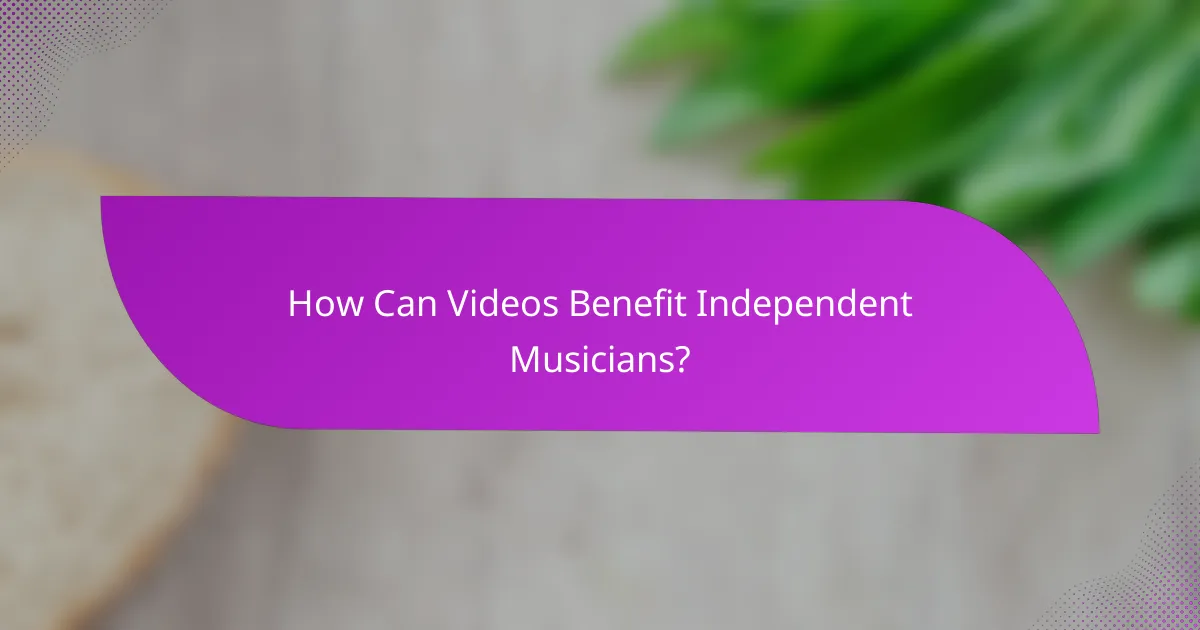 How Can Videos Benefit Independent Musicians?