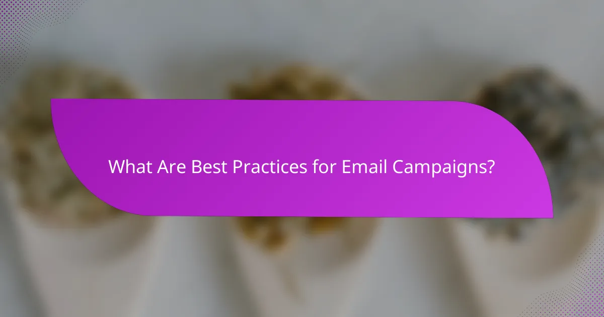 What Are Best Practices for Email Campaigns?