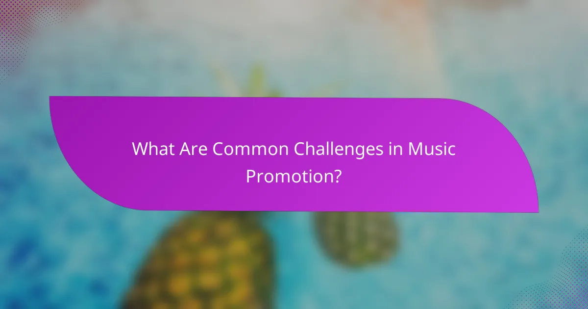 What Are Common Challenges in Music Promotion?