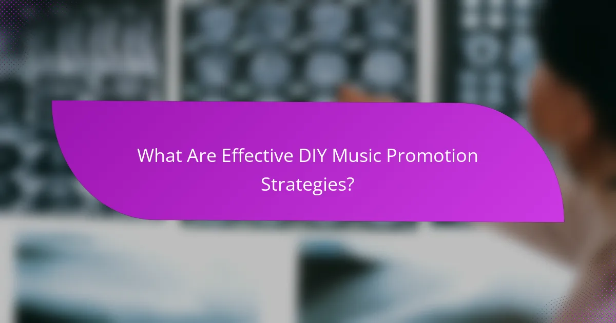 What Are Effective DIY Music Promotion Strategies?
