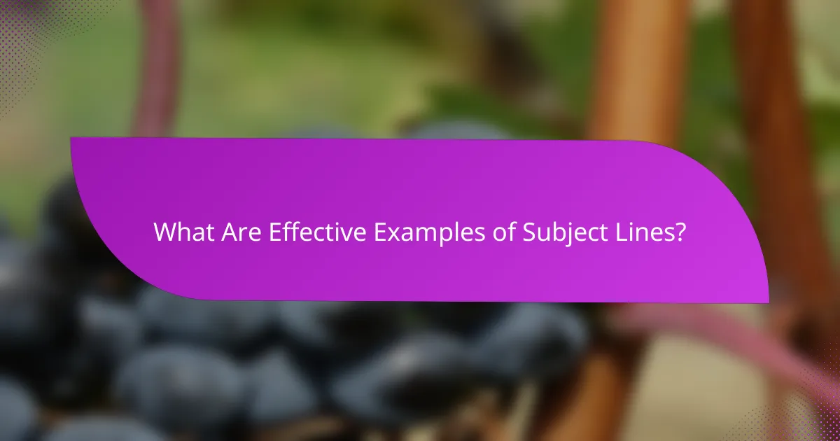 What Are Effective Examples of Subject Lines?