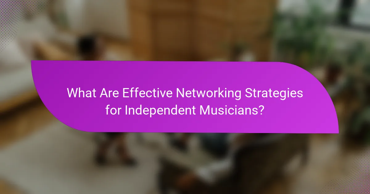 What Are Effective Networking Strategies for Independent Musicians?