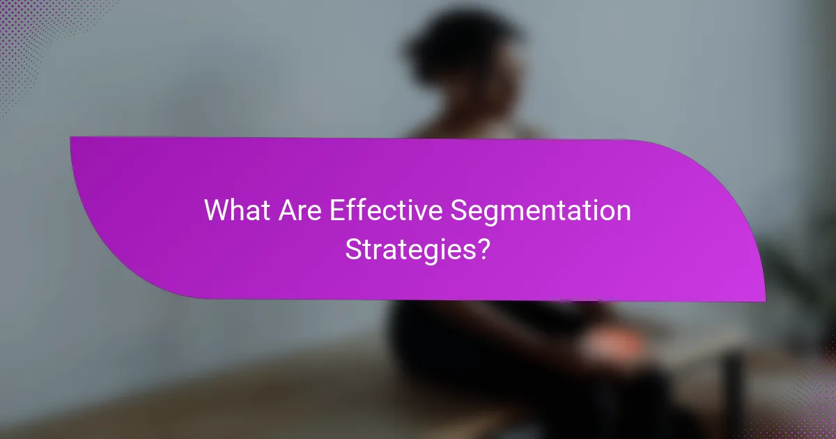 What Are Effective Segmentation Strategies?