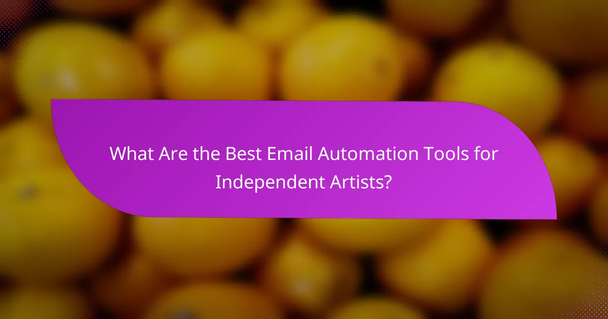 What Are the Best Email Automation Tools for Independent Artists?