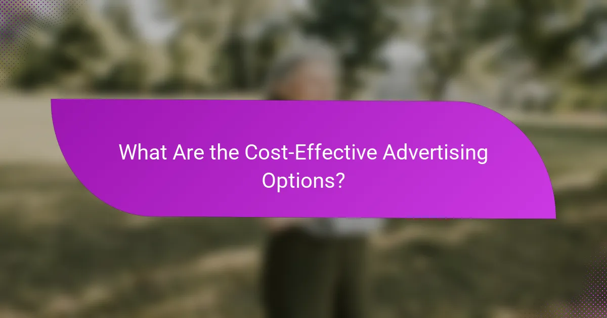 What Are the Cost-Effective Advertising Options?