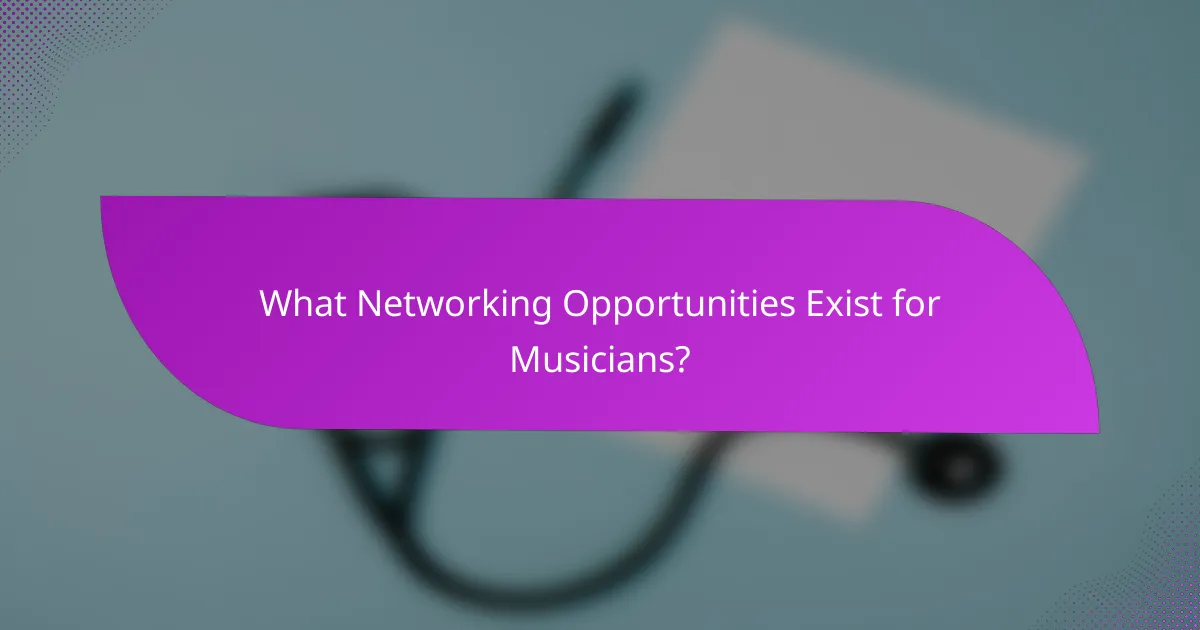 What Networking Opportunities Exist for Musicians?