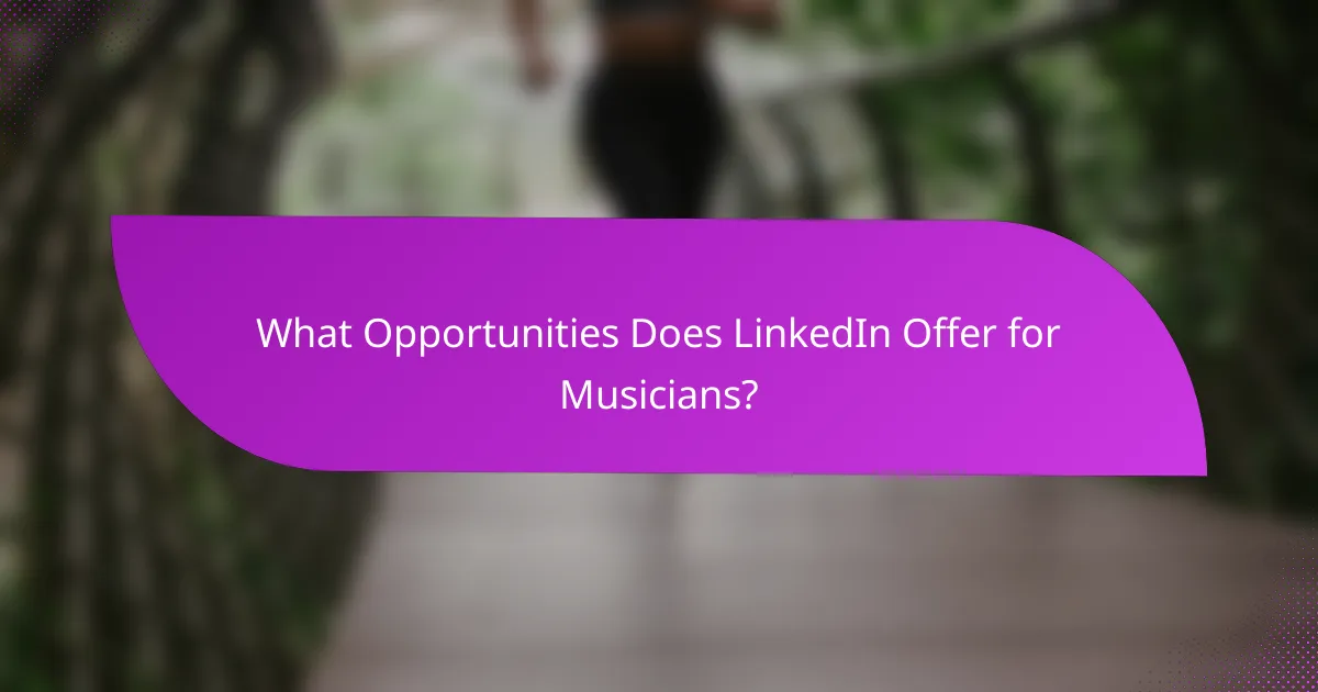 What Opportunities Does LinkedIn Offer for Musicians?