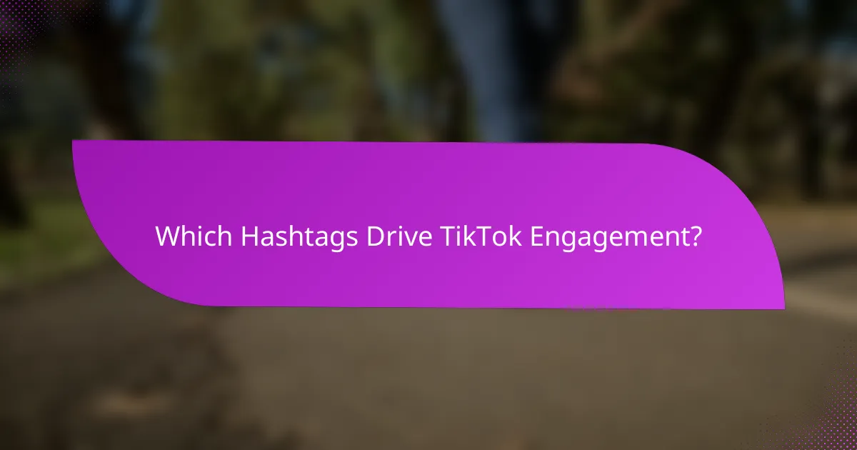 Which Hashtags Drive TikTok Engagement?